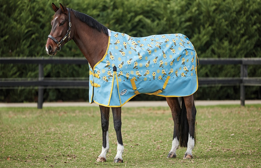The Benefits of Protecting Your Horse Using Horse Rugs